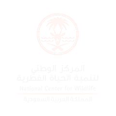 National Center for Wildlife (NCW)